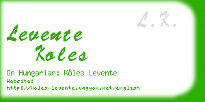 levente koles business card